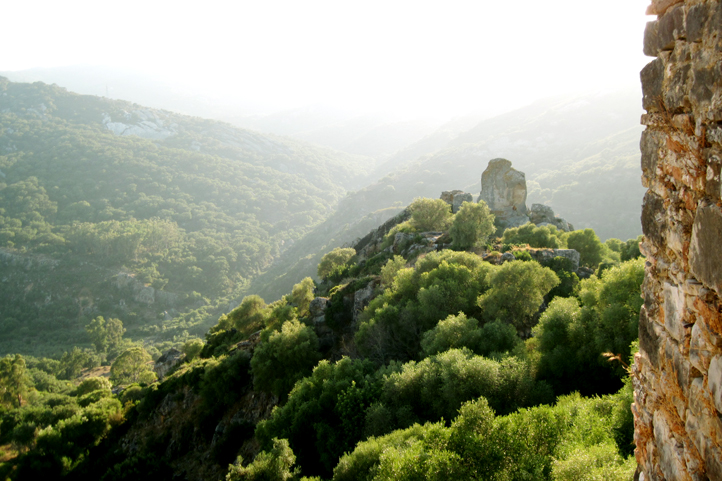 Mist in Jimena